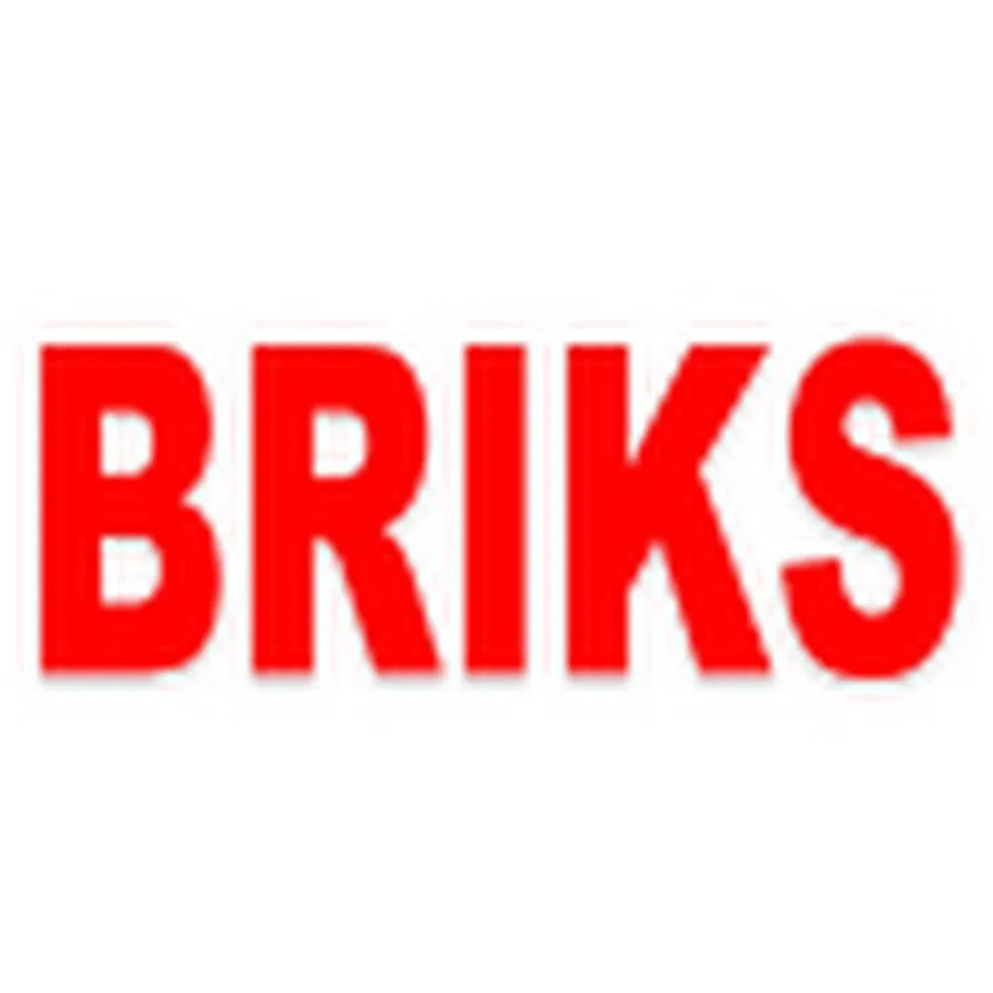 BRIKS